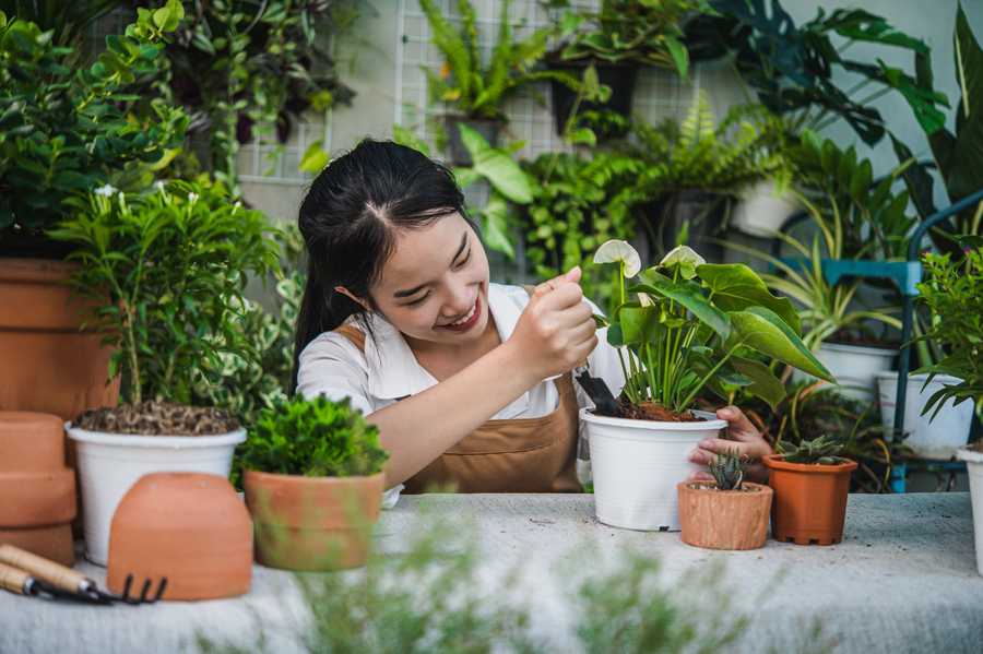 Tips Berkebun di Rumah, Solusi Cerdas Meski Lahan Terbatas